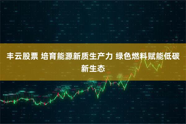 丰云股票 培育能源新质生产力 绿色燃料赋能低碳新生态