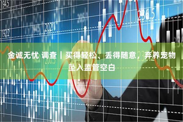 金诚无忧 调查｜买得轻松、丢得随意，弃养宠物坠入监管空白